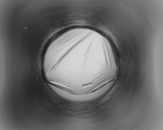 X0000094931318200712271545