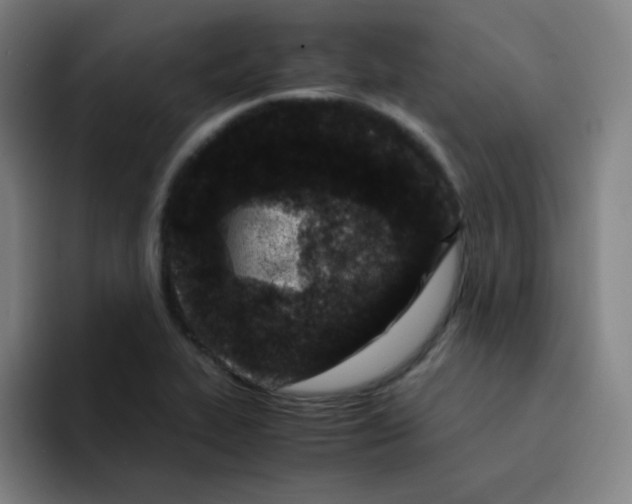 X0000094931319200712271545