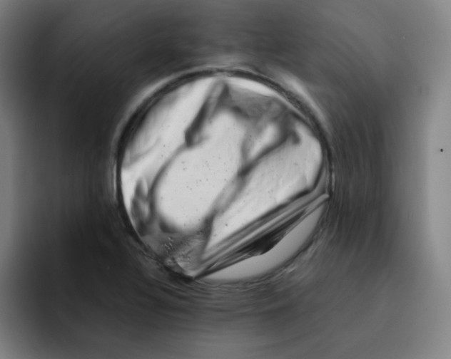 X0000094931320200712271545