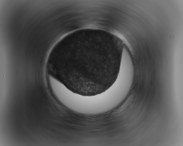 X0000094931323200712271545
