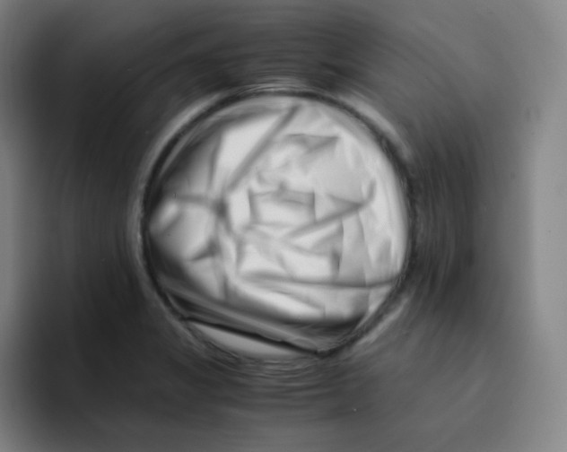 X0000094931325200712271545