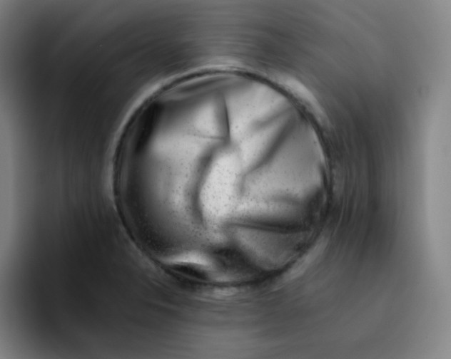 X0000094931326200712271545
