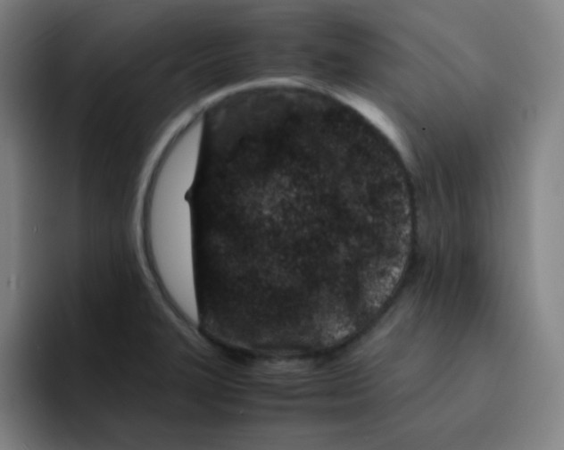X0000094931327200712271545