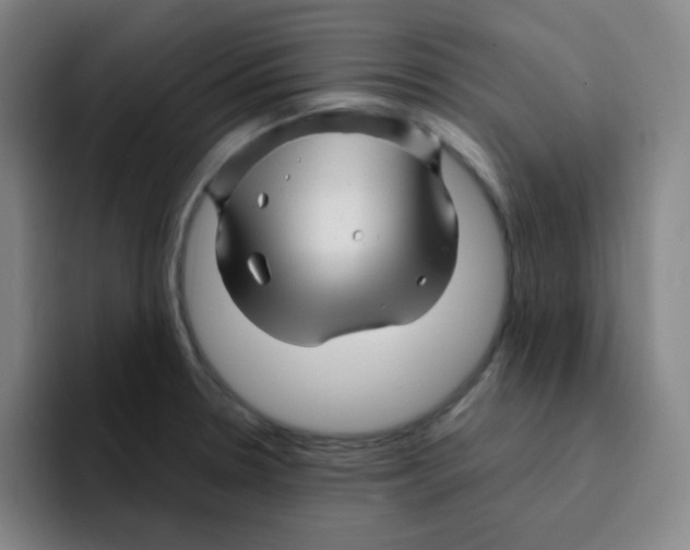 X0000094931330200712271545