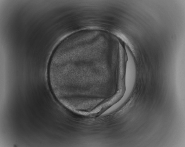 X0000094931331200712271545