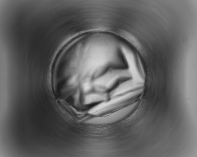 X0000094931332200712271545