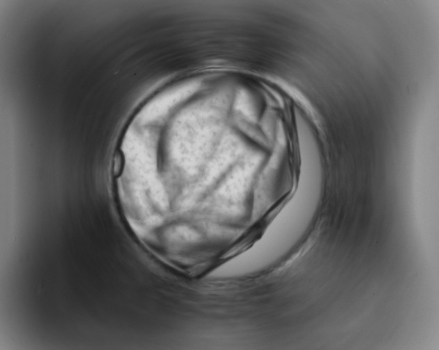 X0000094931333200712271545
