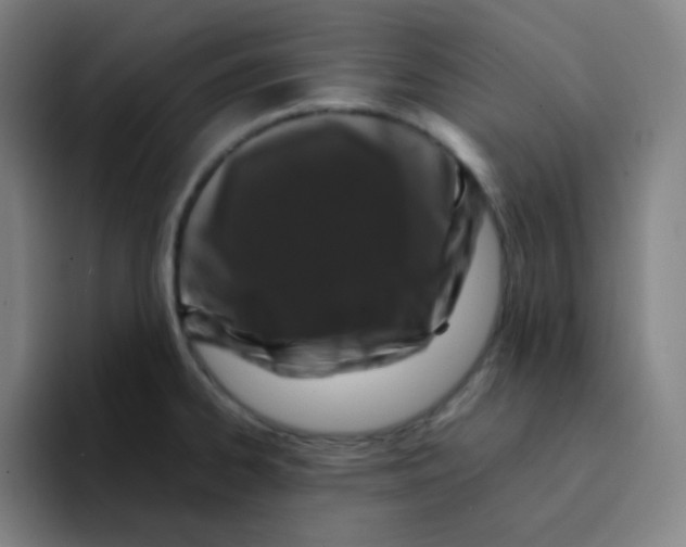 X0000094931334200712271545