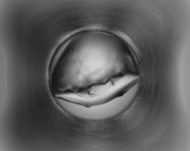 X0000094931335200712271545