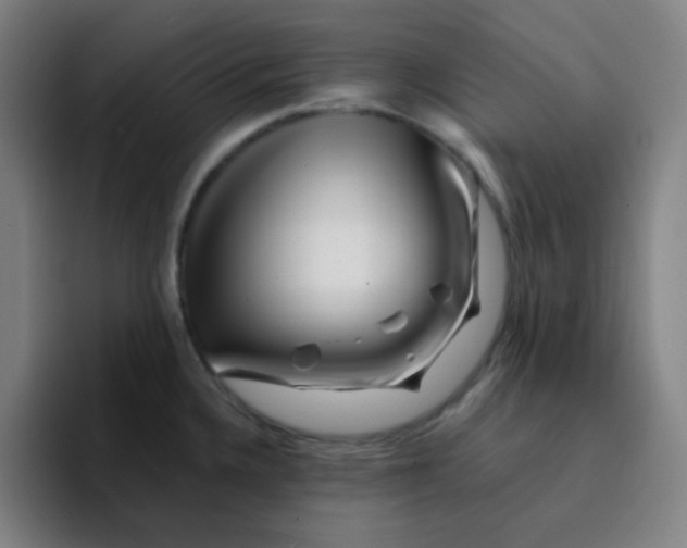 X0000094931336200712271545