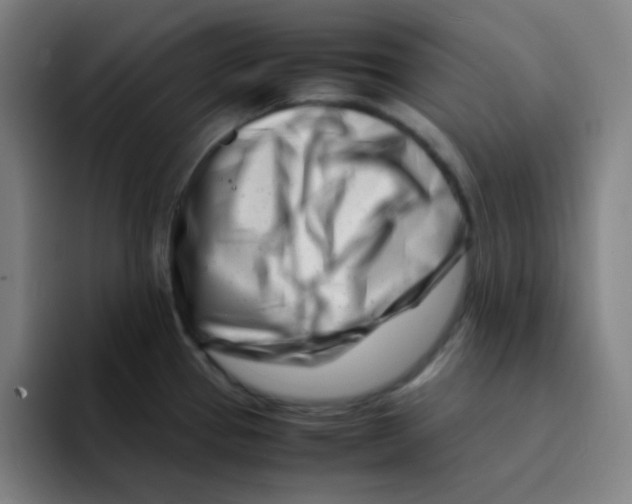 X0000094931337200712271545