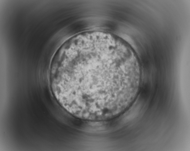 X0000094931338200712271545