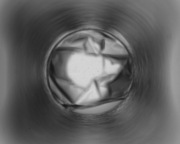 X0000094931339200712271545