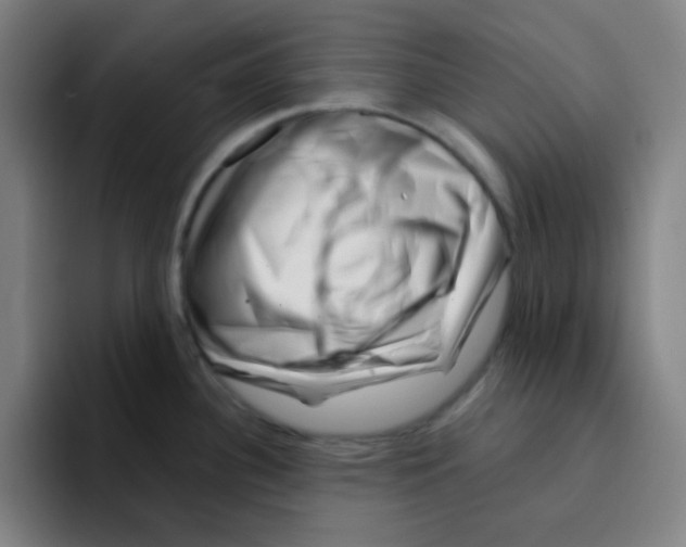 X0000094931340200712271545