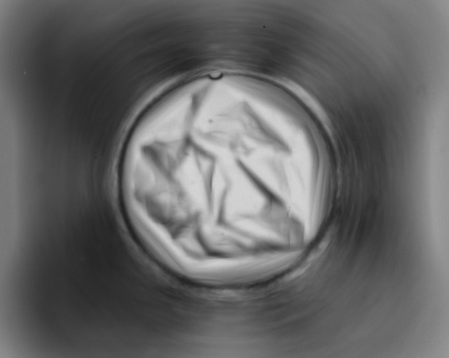 X0000094931341200712271545