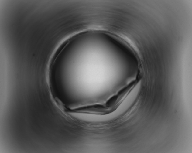 X0000094931342200712271545