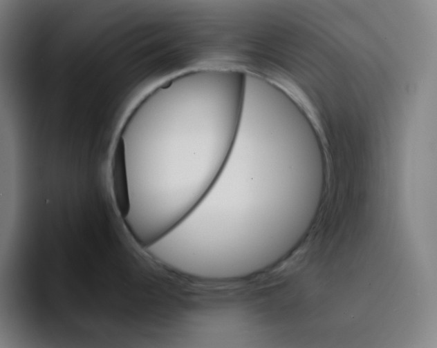 X0000094931344200712271545