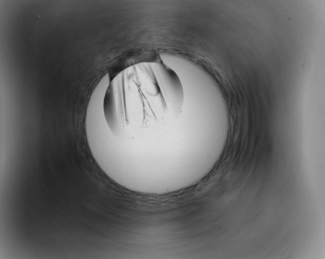 X0000094931348200712271544