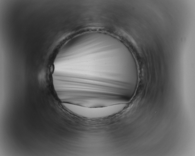 X0000094931352200712271544