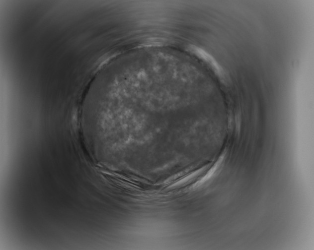 X0000094931353200712271544