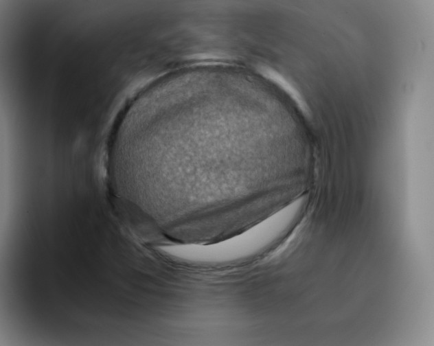 X0000094931357200712271544