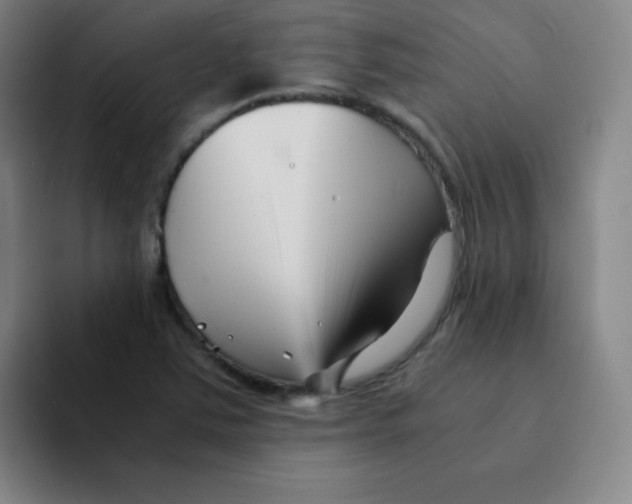 X0000094931363200712271544