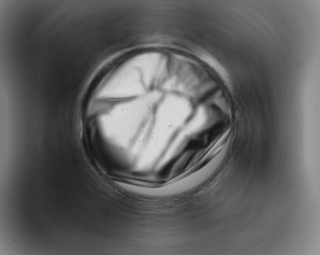 X0000094931368200712271544