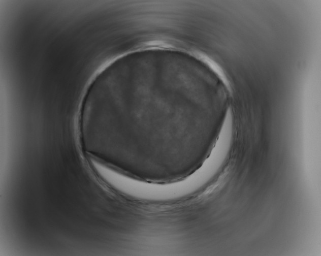 X0000094931373200712271544