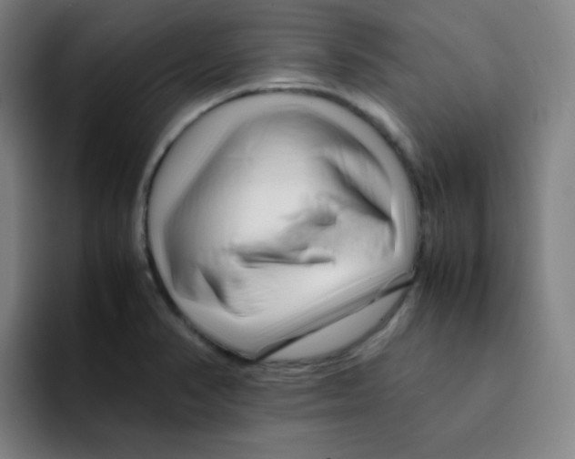X0000094931374200712271544