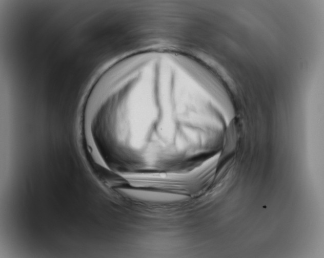 X0000094931375200712271544