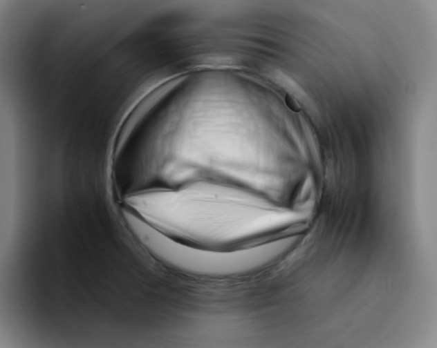 X0000094931378200712271544