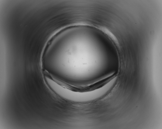 X0000094931380200712271544