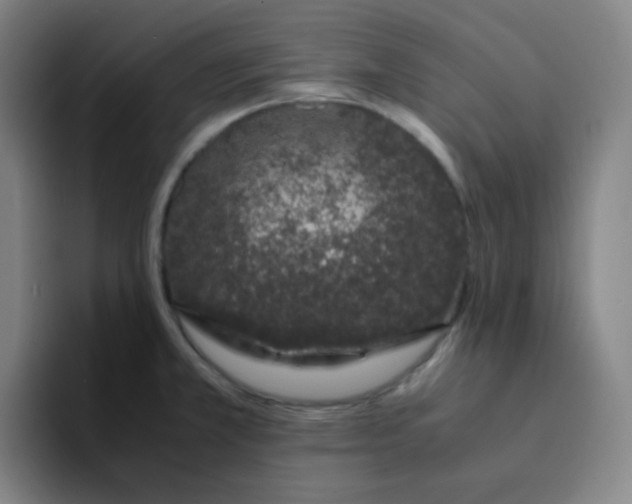 X0000094931381200712271544