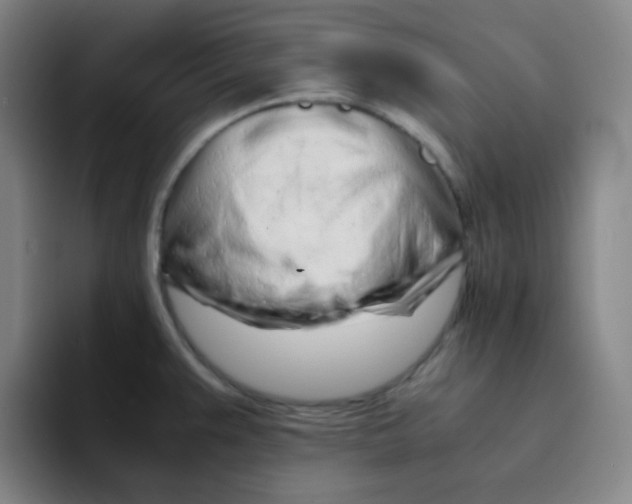 X0000094931383200712271544