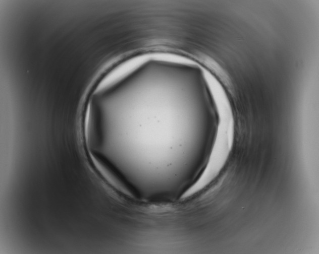 X0000094931384200712271544