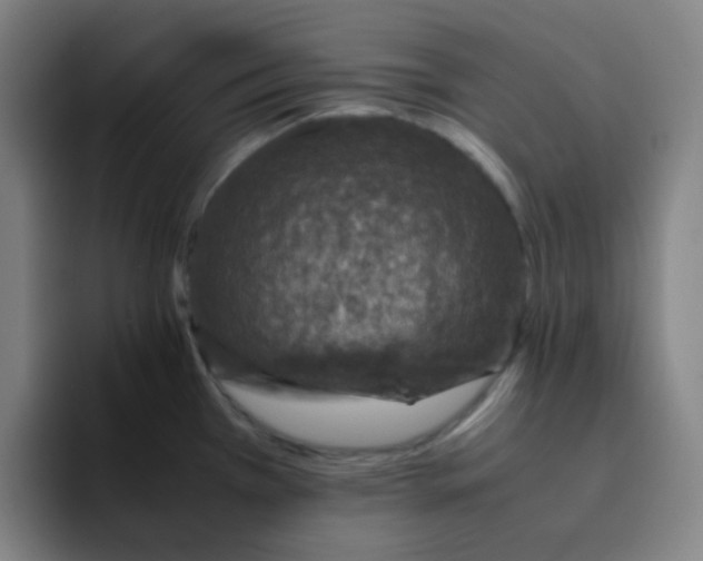 X0000094931385200712271544
