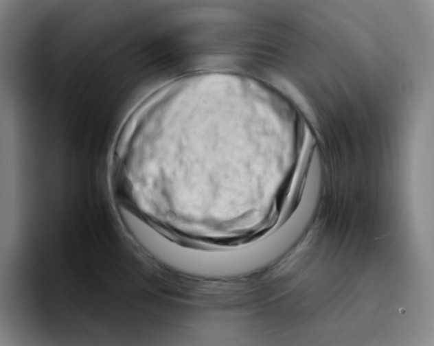 X0000094931386200712271544