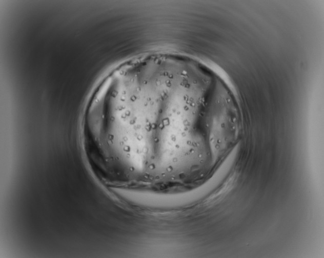 X0000094931389200712271544