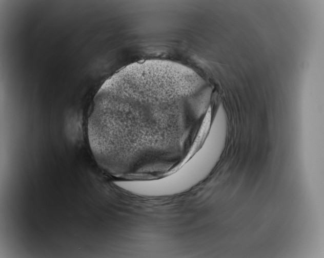 X0000094931394200712271543