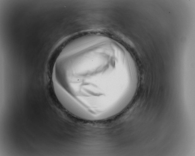 X0000094931400200712271543