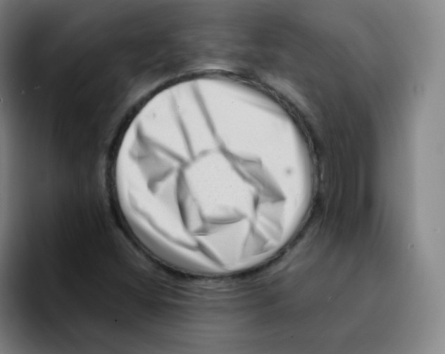X0000094931404200712271543
