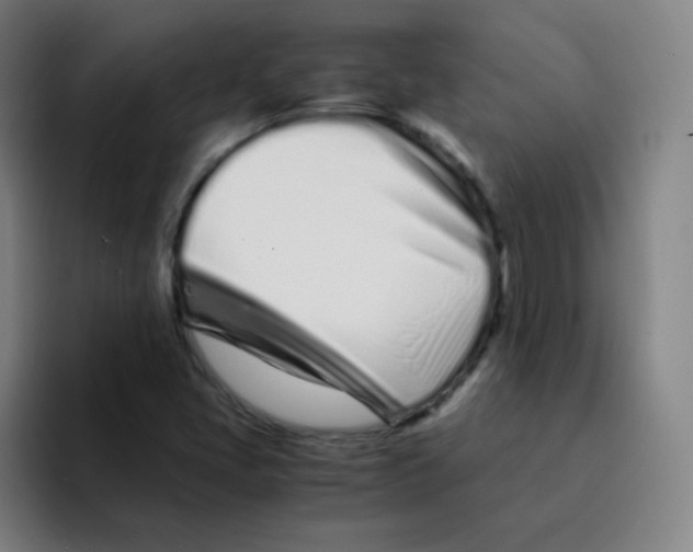 X0000094931405200712271543