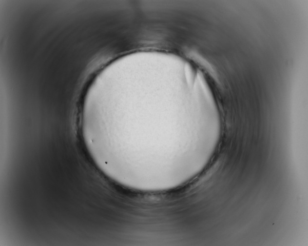 X0000094931411200712271543