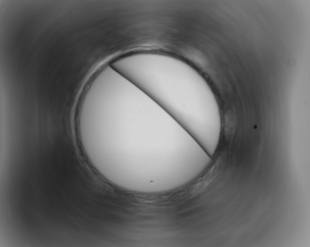 X0000094931412200712271543