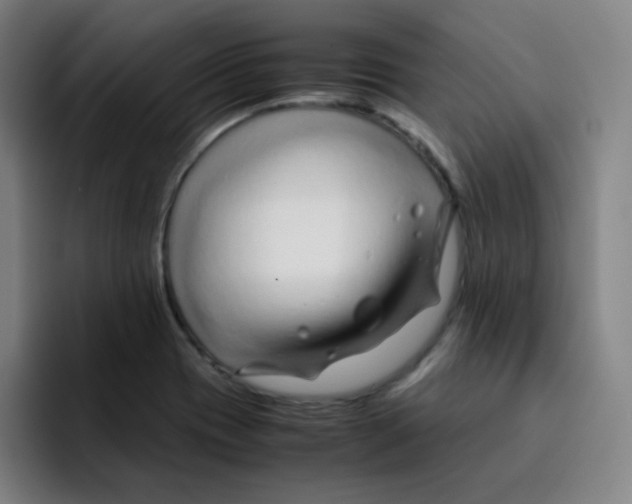 X0000094931417200712271543