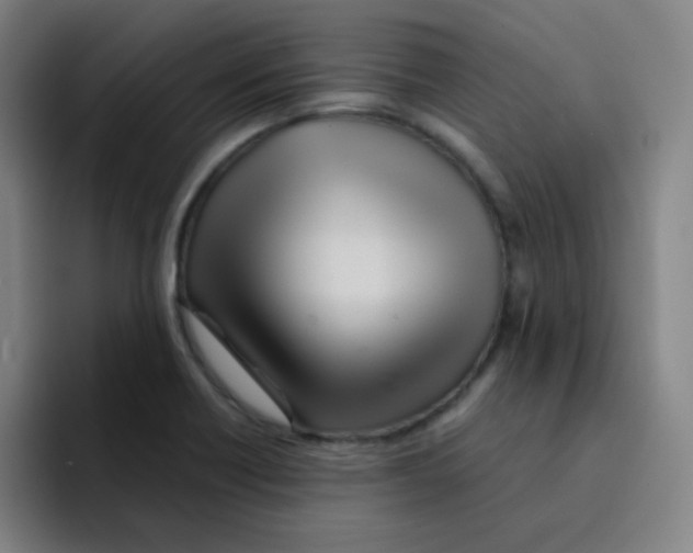 X0000094931418200712271543