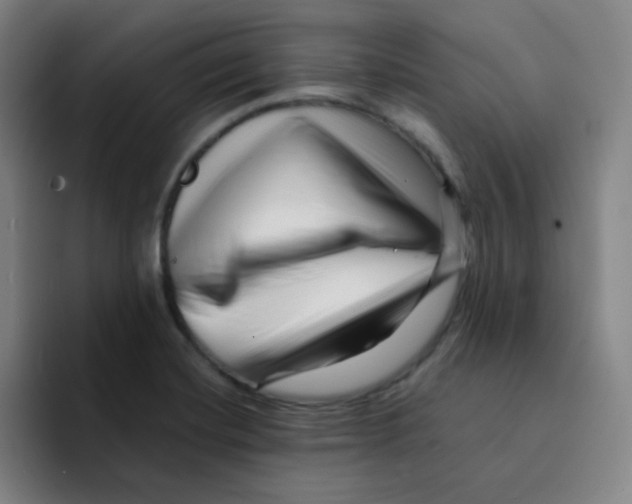 X0000094931420200712271543