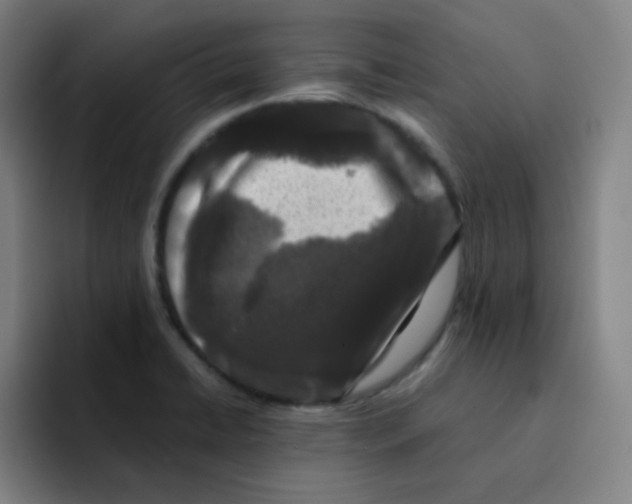 X0000094931422200712271544