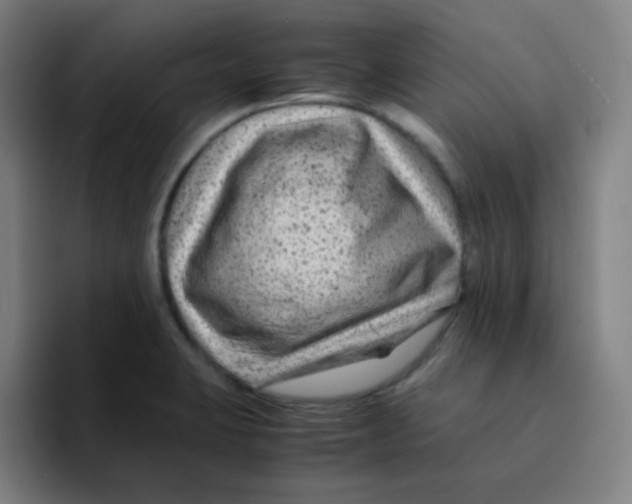 X0000094931423200712271544