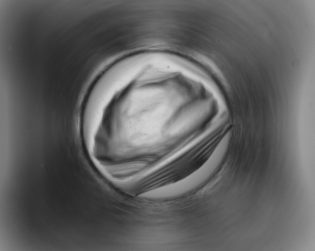 X0000094931424200712271544